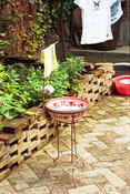 Image0006 13