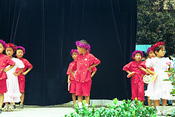 Image0008 5