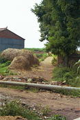 Image0012 13