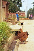 Image0013 13