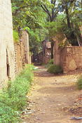 Image0014 13