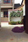 Image0034 4