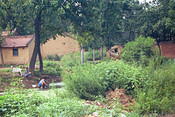 Image0036 4