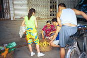 Image0013 8