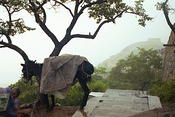 Image0019 12
