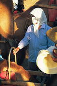 Image0022 28