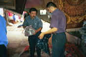 Image0031 11
