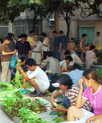 Image0037 8