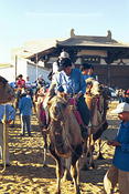 camel drivers