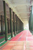 Image0029 4
