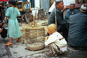 Image0011 11