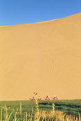 Image0011 28