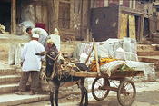 Image0025 1