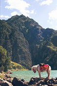 Image0030 21