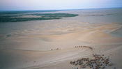 Image0031 25