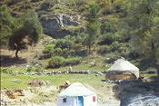 Image0012 4