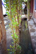 Image0001 19