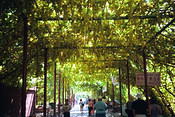 Image0002 19
