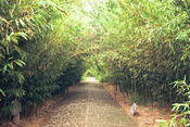 Image0004 24