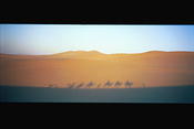 Image0021 25