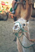Image0021 28