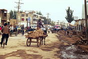 donkey cart in Kashgar