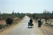 Image0001 25