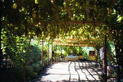 Image0004 19