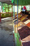 Image0005 19