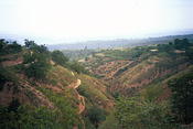 Image0006 20