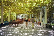 Image0007 19