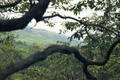 Image0017 24
