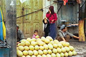 Image0017 11