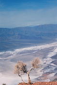 Death Valley 03