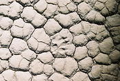 Death Valley 09