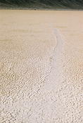 Death Valley 23