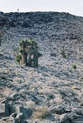 Death Valley 35