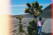 Death Valley 37