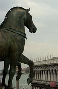 St Mark s horses