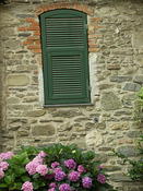 Window1