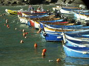 the fishing fleet Vernazza