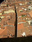 Red tile roofs of Italy Lucca