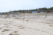DSC 0911