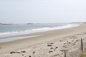 DSC 0930