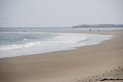 DSC 0931