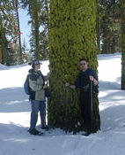 BAdger Pass dan and Andrea and green tree
