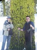 Badger Pass dan Andrea and big green tree