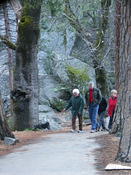 Yosemite Duke walks bruce and Betty