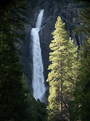 Yosemite lower falls