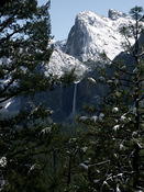 yosemite bridalveil